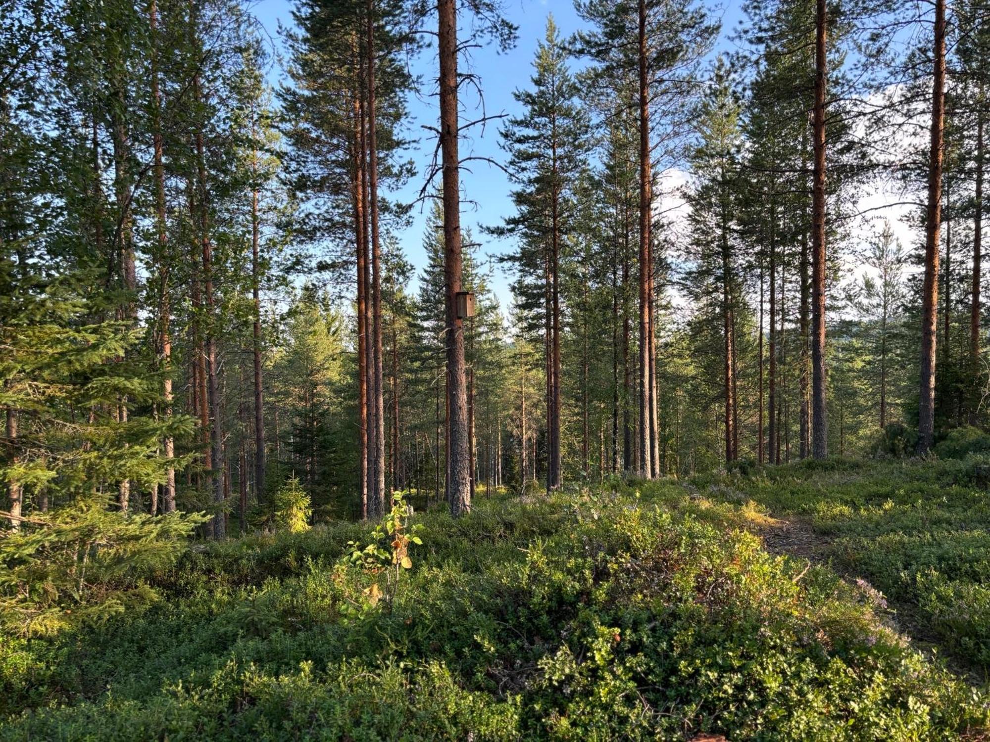 Chalet Loppiaiskaari 5, Paljakka