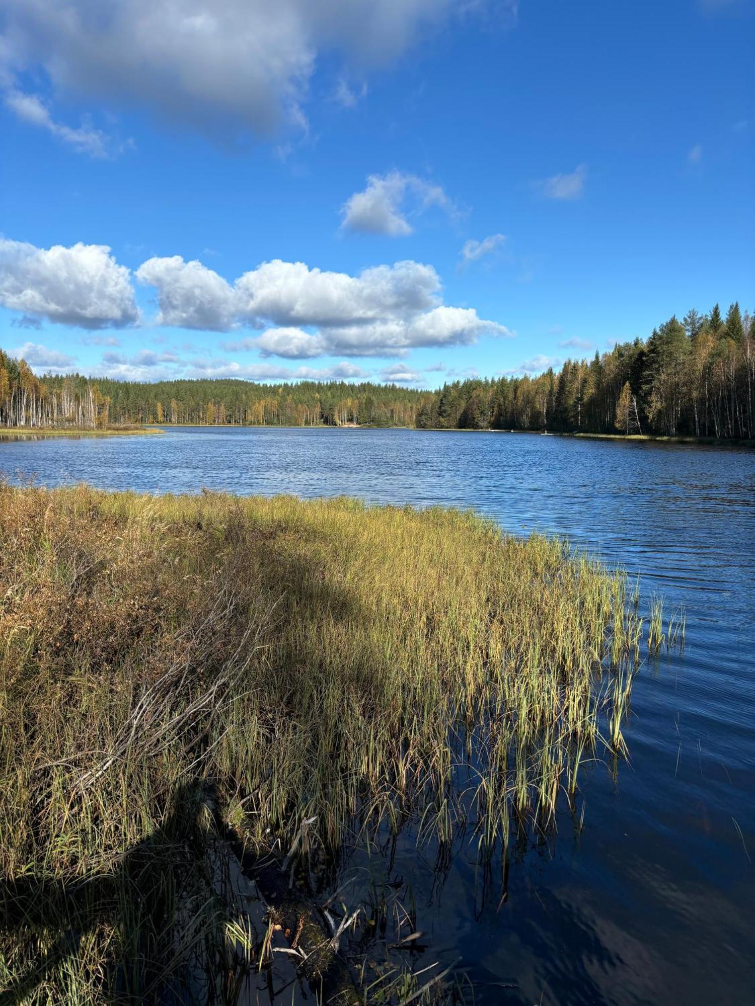 Loppiaiskaari 5, Paljakka Chalet